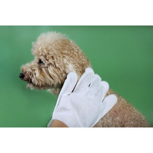 Dogs Pet Cleaning Glove